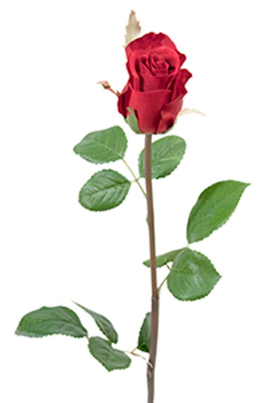 Rose rød på stilk H 50 cm