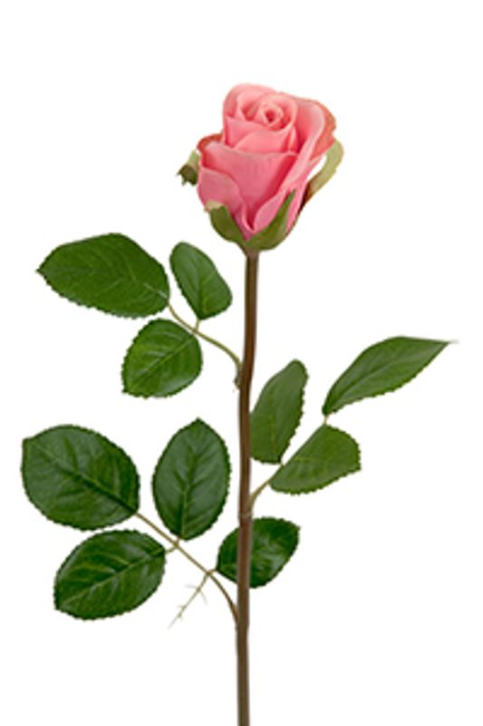 Roser stilk rosa 50cm 
