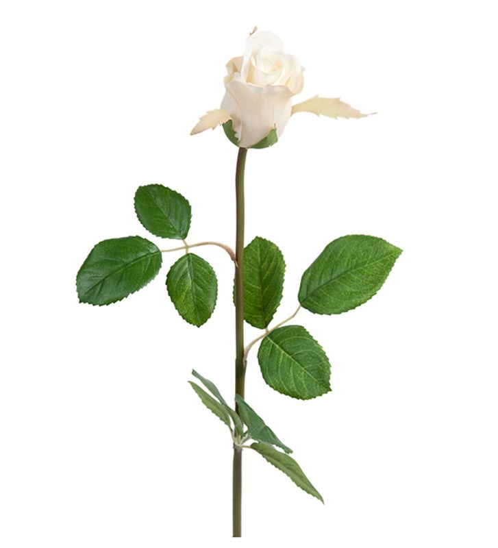 Rose Stilk Lys rosa H 50 cm