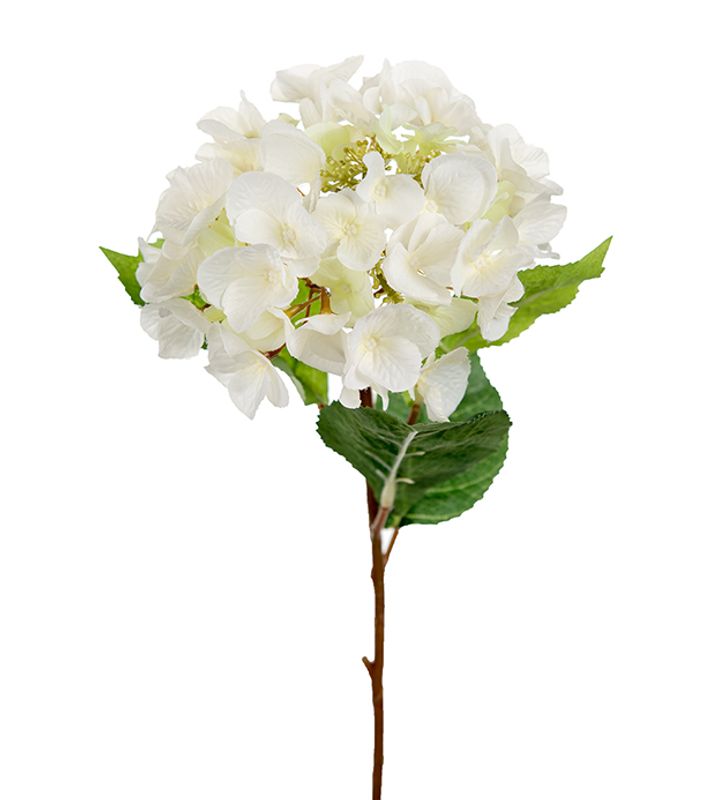 Hortensia hvit 45 cm