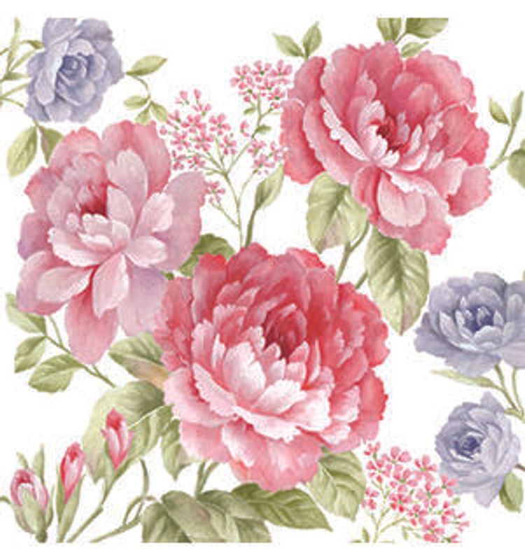 Serviett kaffe 20 stk Julietta 3 lag 25x25cm
