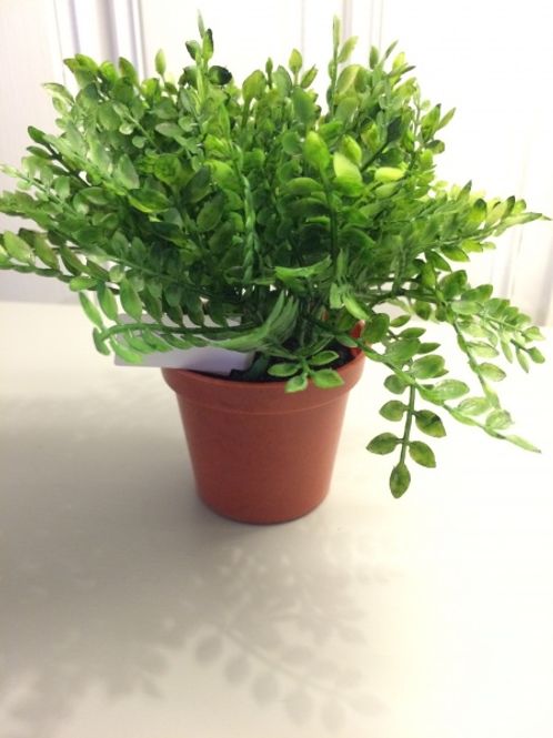 Hovedbilde Grønne miniblomster 