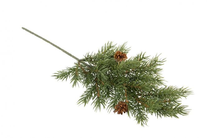 Hovedbilde Grankvist m/kongler 46 cm