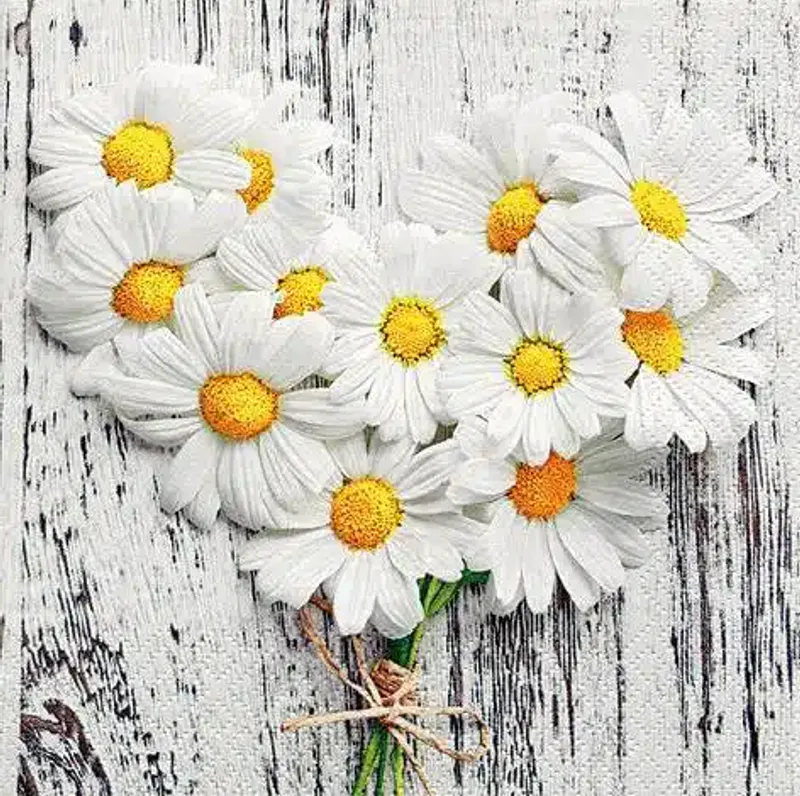 Servietter Coeurs de marguerites 33x33 cm