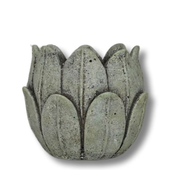 Hovedbilde Blomsterpotte Ficus medium ...