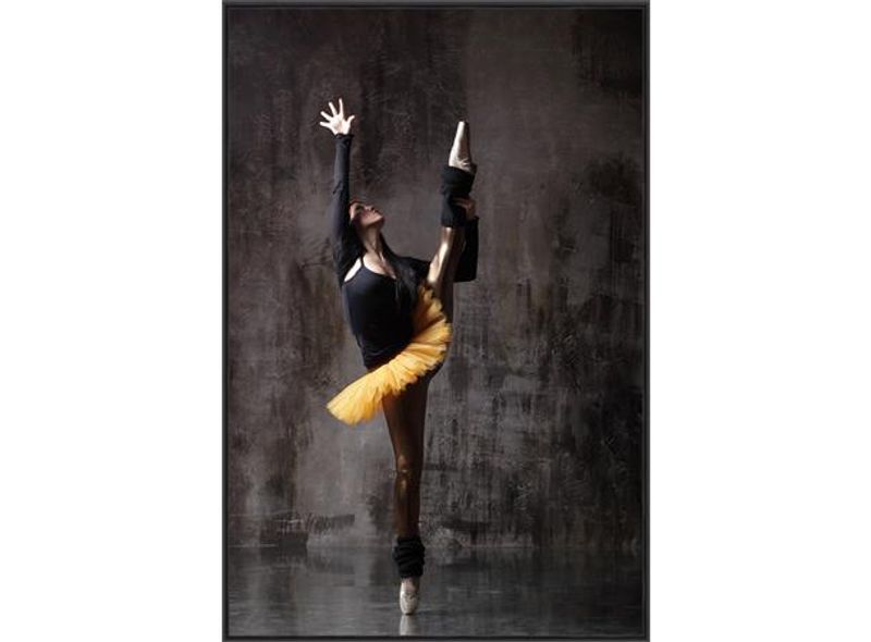 Bilde Danser 60x90