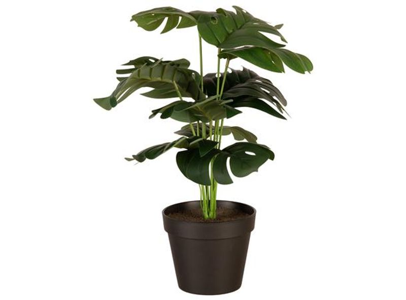 Monstera sort potte 32x30x36cm