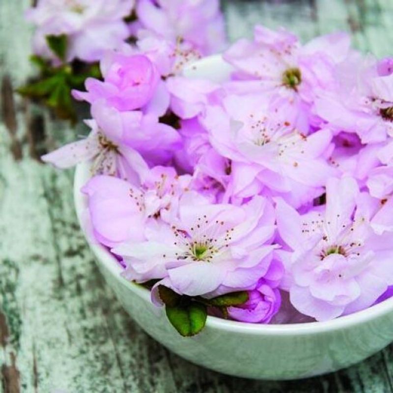 Serviett Lunsj 33x33 cm Roser i fat a 20 stk