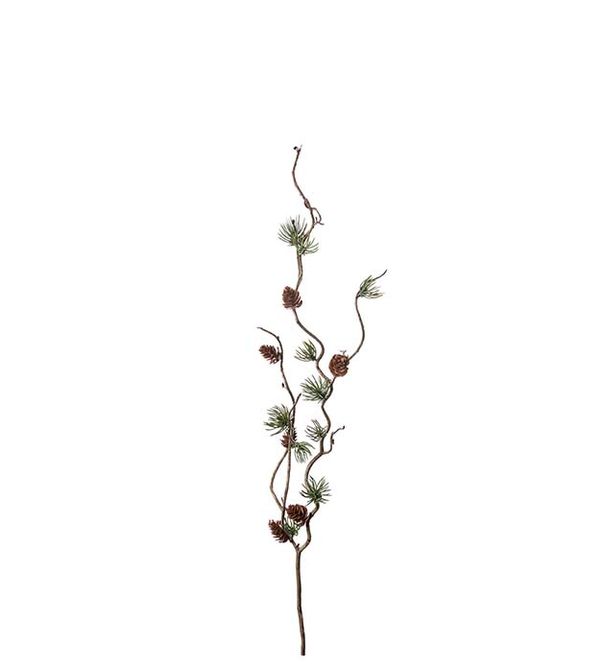 Hovedbilde Lerkekvist H 60 cm