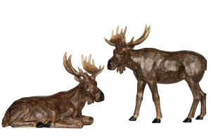 Hovedbilde Elg brun liggende