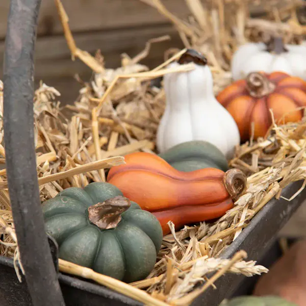Gresskar mini orange Høy 8 x 5 cm